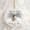 Personalized First Christmas as a Family Ornament